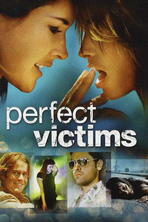 Perfect Life poster 3
