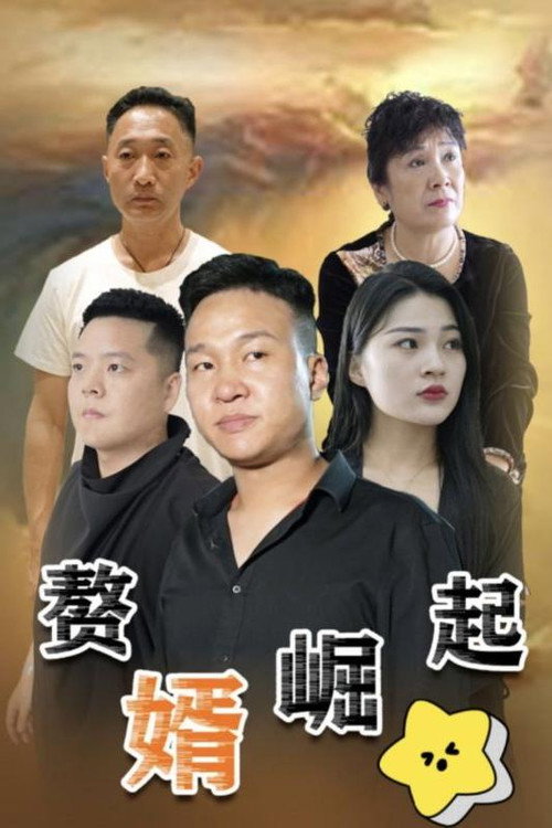 赘婿崛起电影海报
