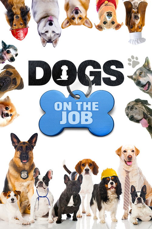 Dogs On the Job电影海报