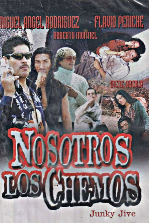Nosotros Los Chemos poster 2