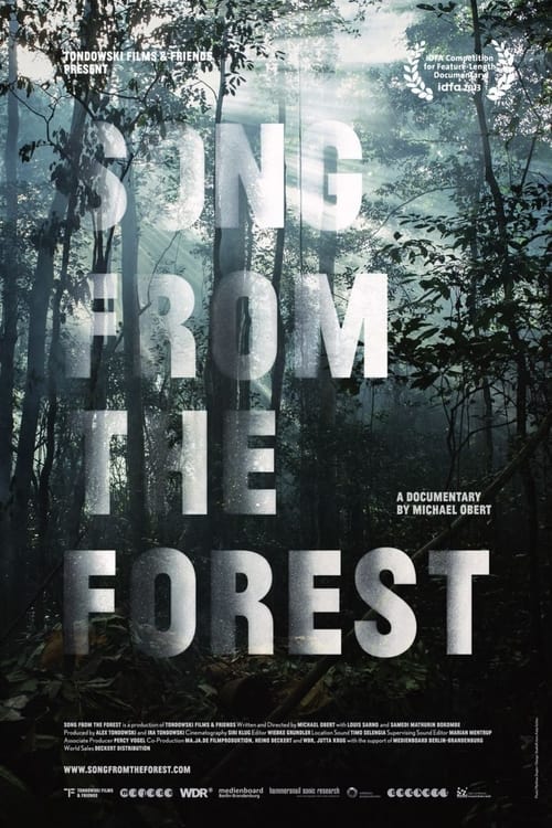 Song from the Forest