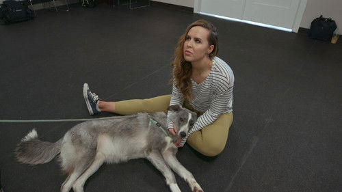 Dogs - Köyden Gelen Köpek