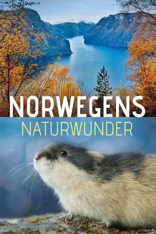 Norwegens Naturwunder电影海报