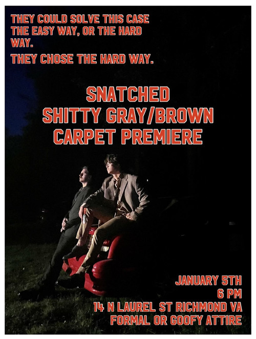 Snatched poster 1