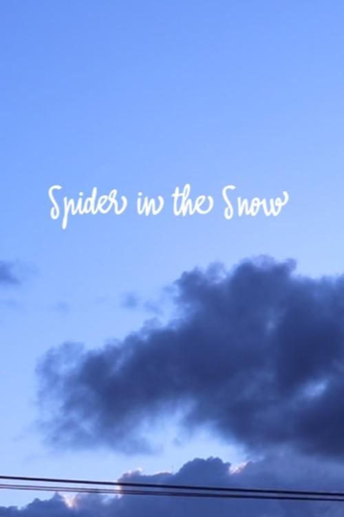 Spider+in+the+Snow