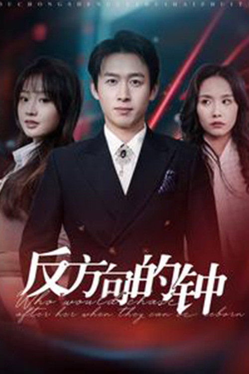 反方向的钟电影海报