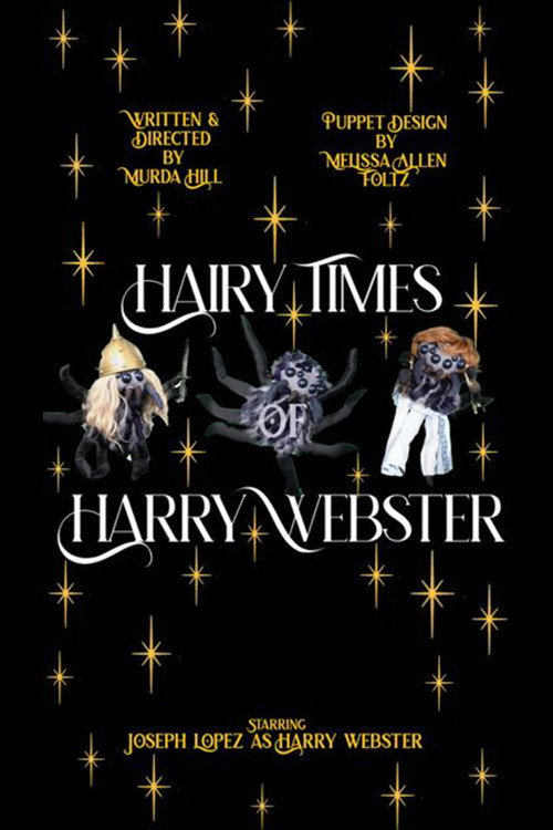 Hairy Times Of Harry Webster's poster
