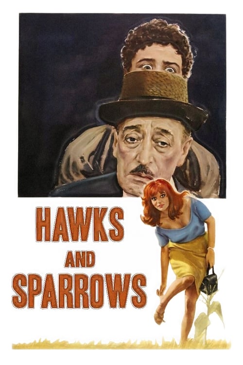 The+Hawks+and+the+Sparrows