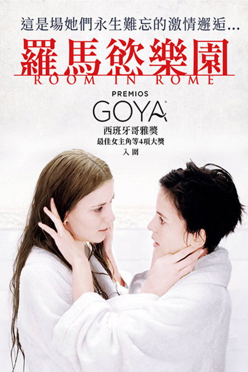 罗马的房子电影海报