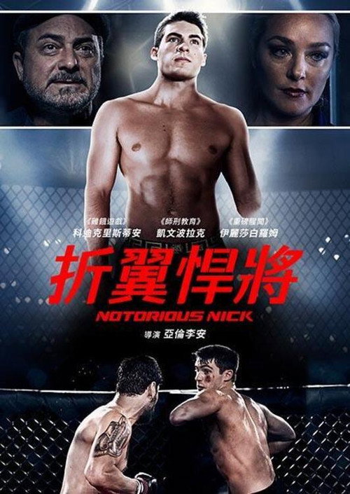 折翼悍將电影海报