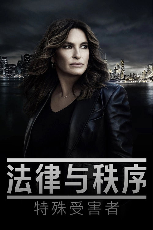 法律与秩序：特殊受害者电影海报
