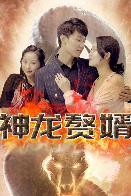 神龙赘婿电影海报