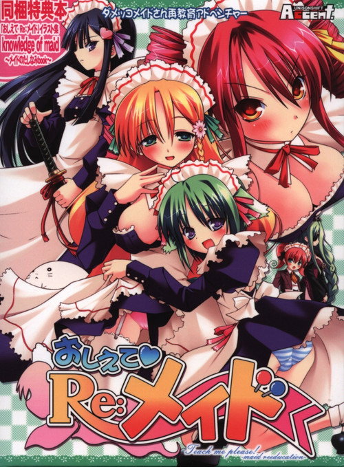 Maid to Please poster 4