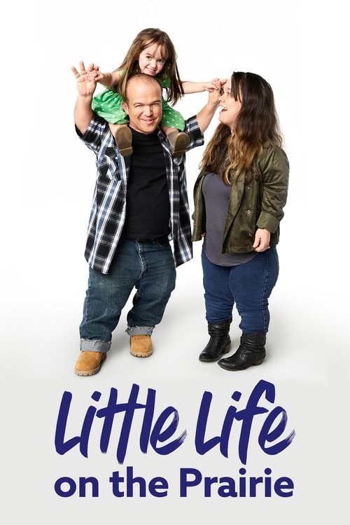 Poster of Little Life on the Prairie