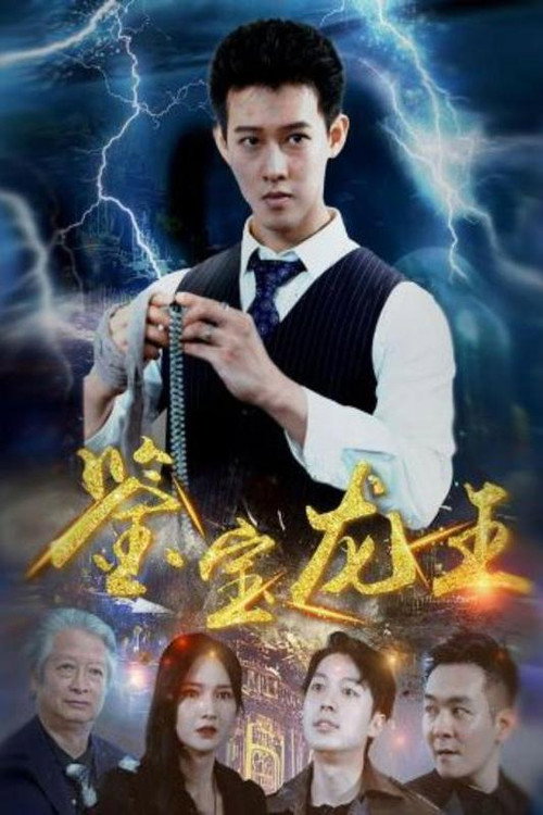 鉴宝龙王电影海报