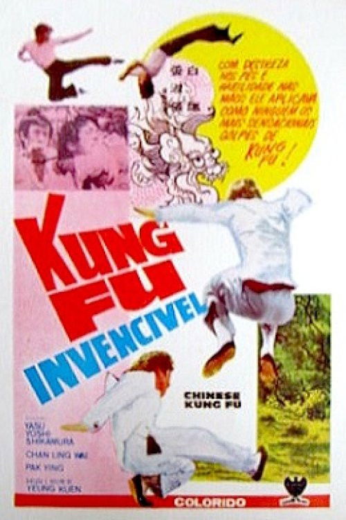Chinese Kung Fu Poster