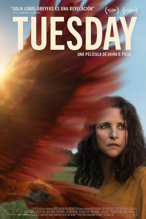 Background poster of Tuesday, Abrazando La Vida blurred