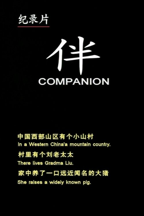 伴