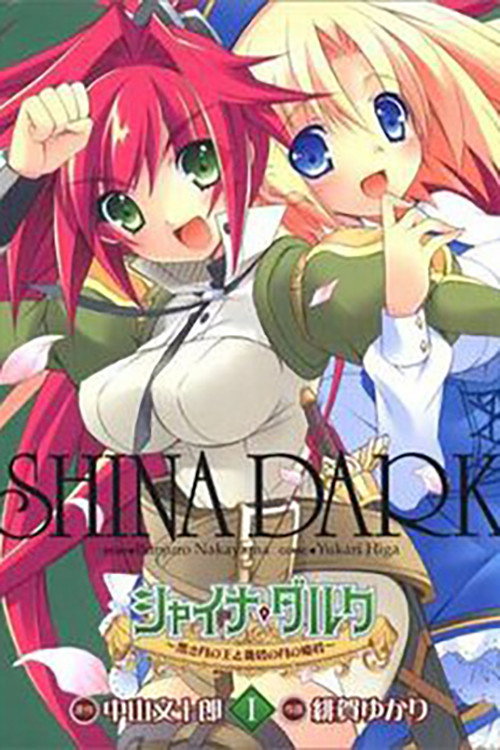 Shina Dark电影海报