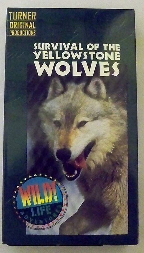 ストリーミング Survival of the Yellowstone Wolves (1996) フルHD オンライン無料 Survival of the Yellowstone Wolves (1996) フルムービーストリーミングをオンラインで見る