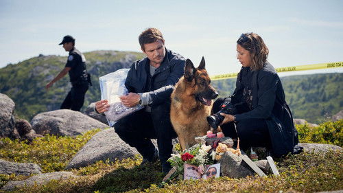 Hudson & Rex - 6. Bölüm