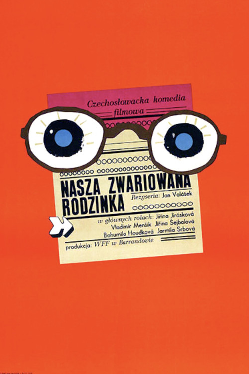 Naše bláznivá rodina poster 5