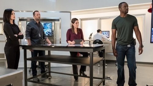 Blindspot - 3. Bölüm