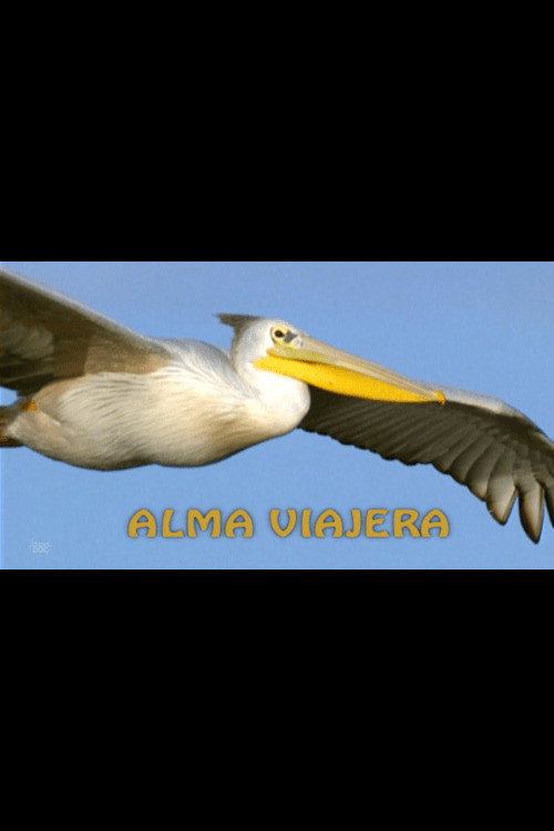 Alma viajera电影海报