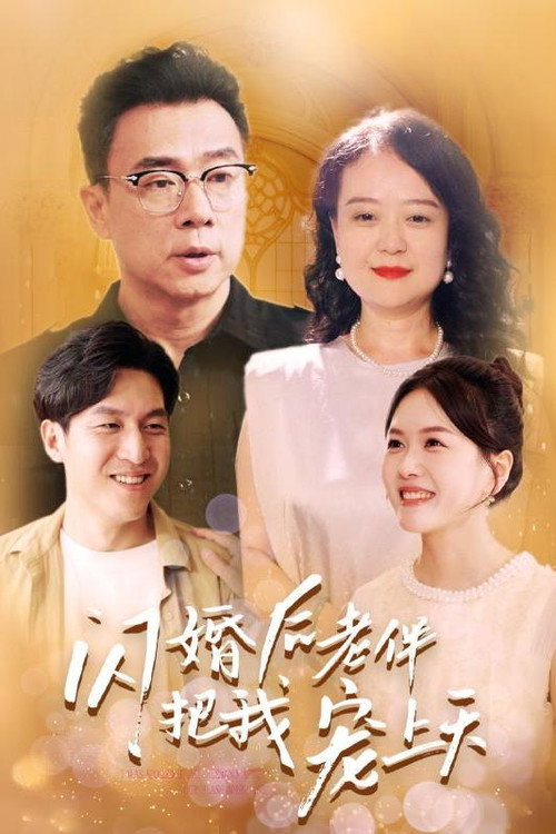闪婚后老伴把我宠上天电影海报