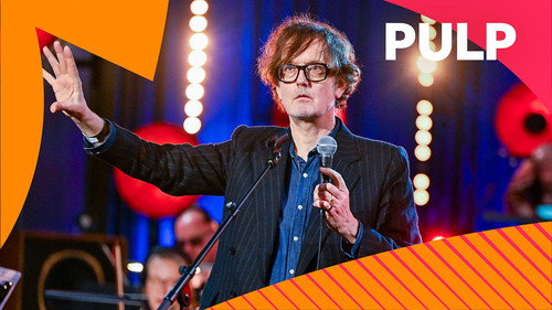 Pulp