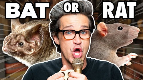 Makes These Sounds With Just Your Mouth (Guessing Game)