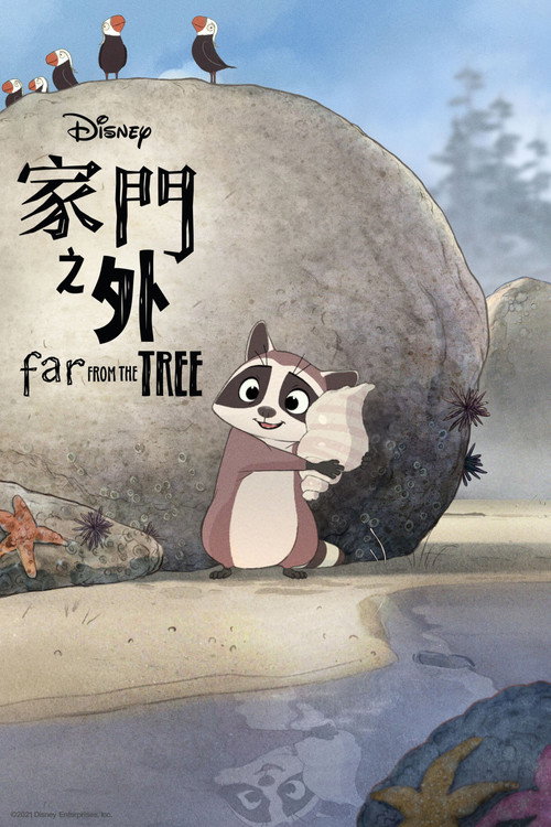 家门之外电影海报