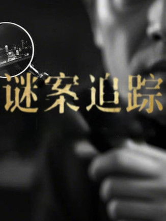 谜案追踪