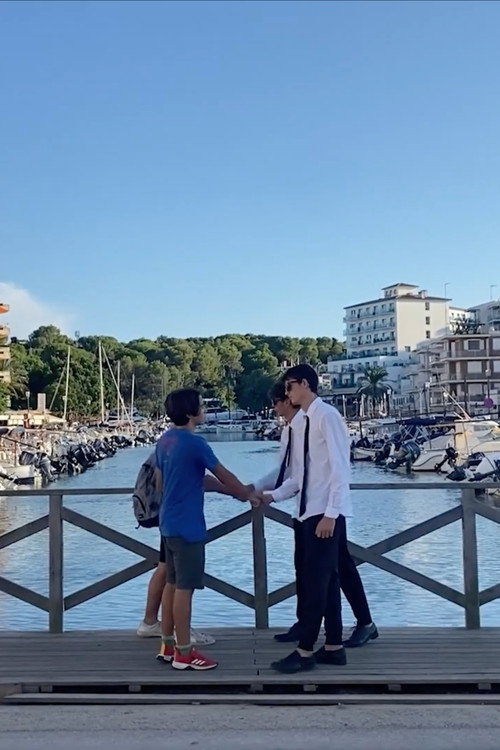 En el Punto de Mira电影海报