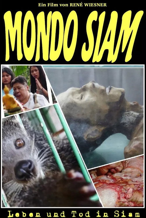 Mondo Siam poster 4