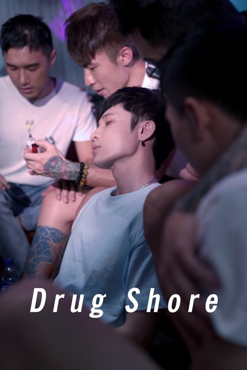 毒岸 poster