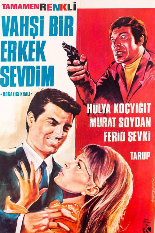 Vahşi Bir Erkek Sevdim poster 3