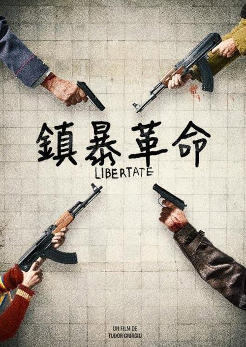 89年的锡比乌电影海报