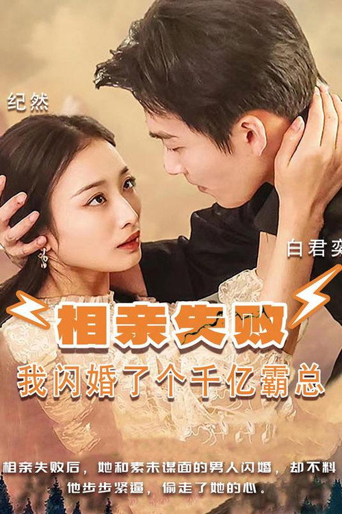 相亲失败，我闪婚了个千亿霸总电影海报