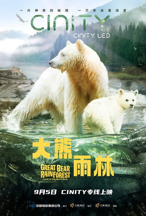 大熊雨林电影海报