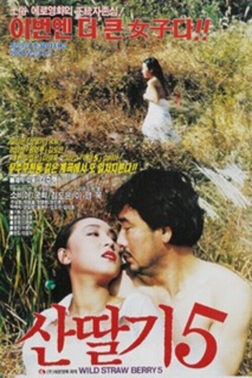 Mountain Strawberries 5 Poster