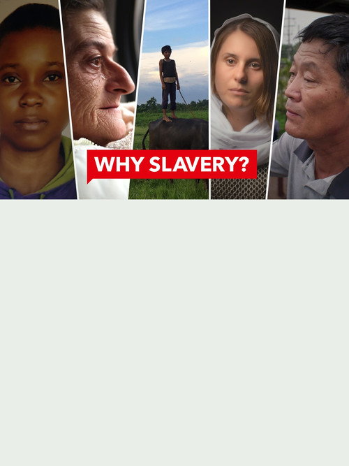 WHY SLAVERY?电影海报