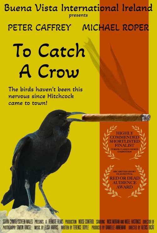 To Catch a Crow Poster
