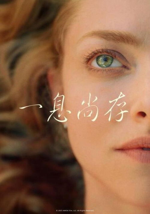 如释重负电影海报