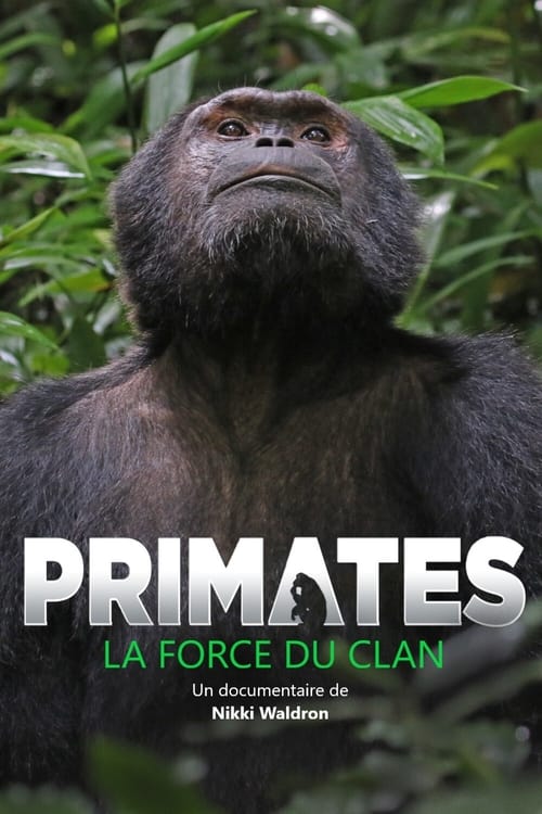 Primates%3A+The+Strength+of+the+Clan