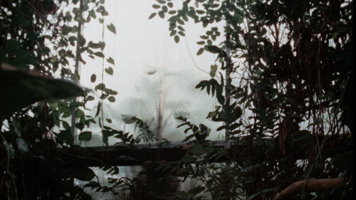 Backdrop