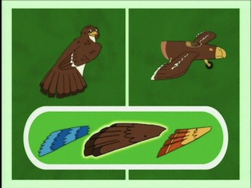 Jorge the Little Hawk Learns to Migrate