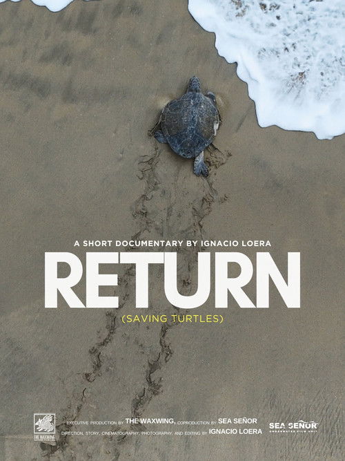 Return: Saving turtles