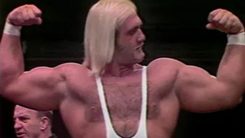 All Star Wrestling - December 20, 1980