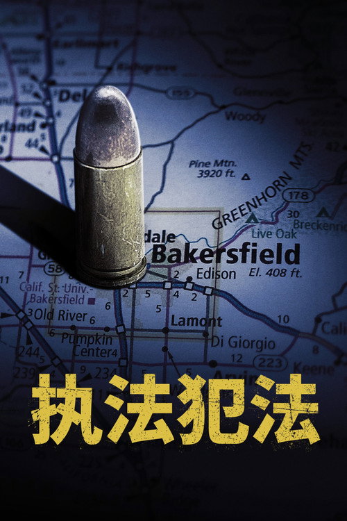 执法犯法海报